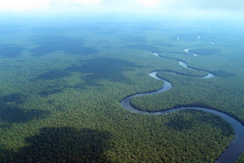 Congo-Rainforest.jpg