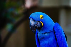 benny-kirubakaran-735748-unsplash-300x200.jpg