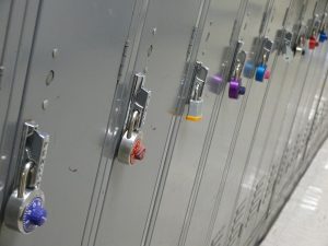 locker-1540393257425-300x225.jpg