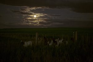 dark-2603233-300x200.jpg