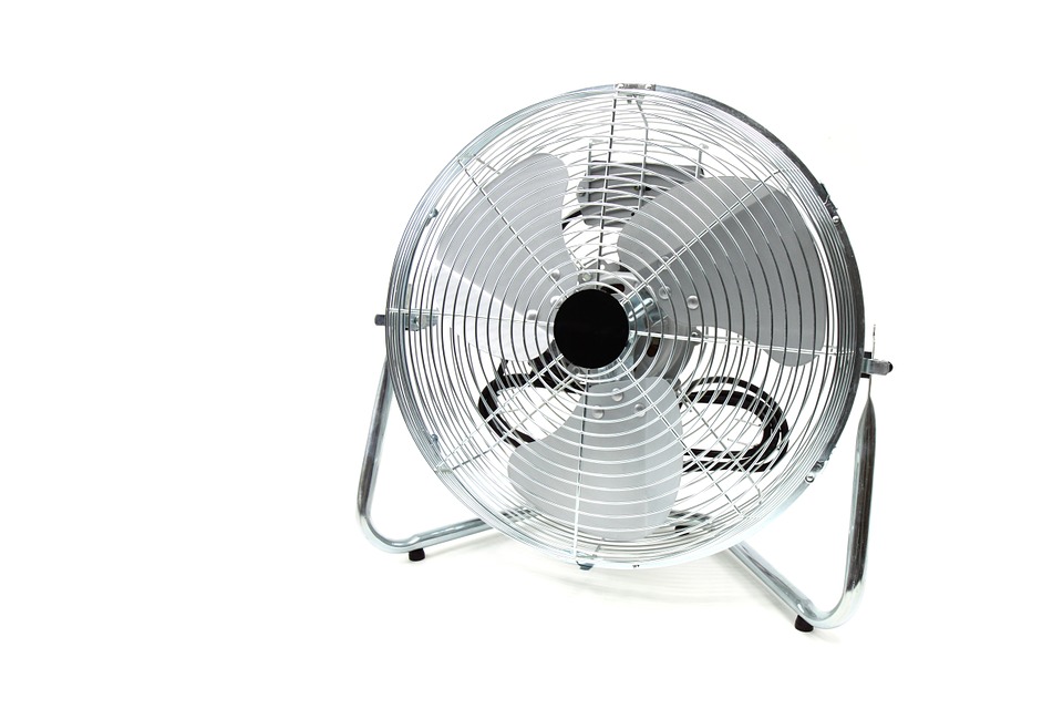 fan-1542379009689.jpg