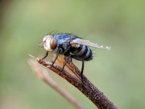 mohd-azrien-awang-besar-1358562-unsplash-300x225.jpg