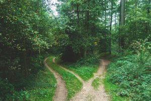 jens-lelie-15662-unsplash-300x201.jpg