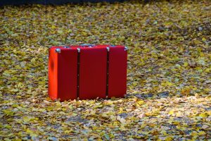 waldemar-brandt-1104011-unsplash-300x200.jpg