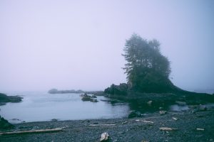 landscape-731341-300x200.jpg