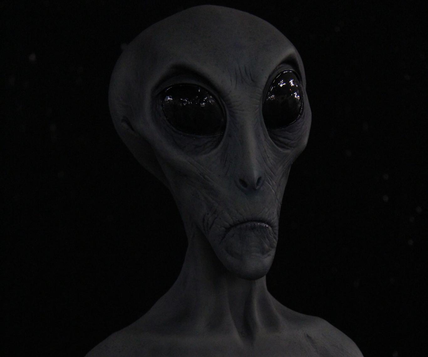 22740-1552013981656.jpg