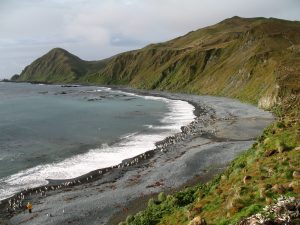 MacquarieIsland7-300x225.jpg