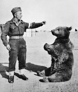 Wojtek_the_bear-256x300.jpg