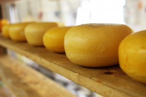 cheese-2785-1-300x200.jpg
