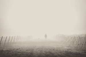 fog-1209205-300x199.jpg