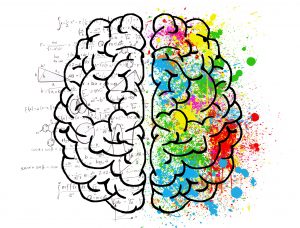brain-2062057-1-300x228.jpg