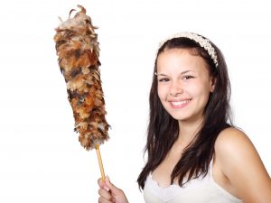 brush-15931-300x225.jpg