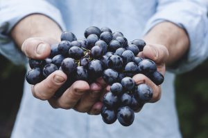 grapes-690230-1-300x200.jpg