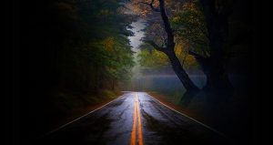 road-1576538-1-300x159.jpg