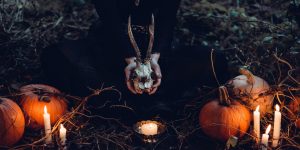 cult-featured-300x150.jpg