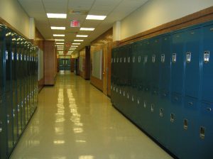 school-417612-300x224.jpg