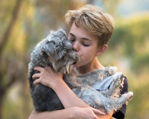 boy-2880856-e1577126429777-300x240.jpg