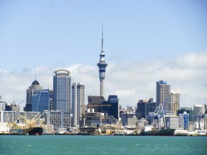 new-zealand-73230_1920-300x225.jpg