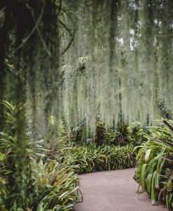 annie-spratt-deHOEUf7X4M-unsplash-246x300.jpg
