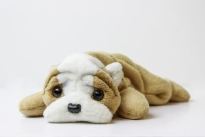 beanie-baby-3453977_1920-300x200.jpg