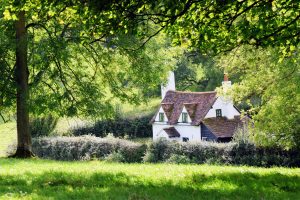 countryside-2875272-300x200.jpg