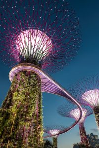 hu-chen-5O6c_pLziXs-unsplash-200x300.jpg