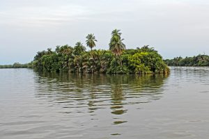 island-2660539-300x200.jpg