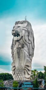 steven-hwg-s-xj0sgw7EA-unsplash-153x300.jpg