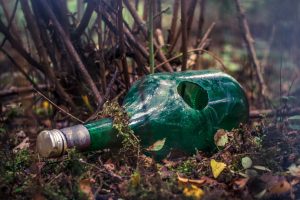 bottle-4043786-300x200.jpg