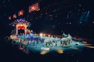 circus-828680-300x199.jpg