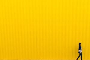 yellow-926728-300x200.jpg