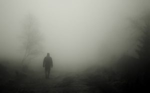walkers-486583-300x186.jpg