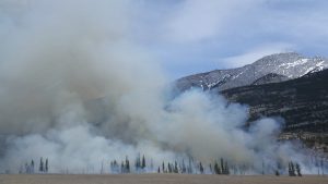 burn-fog-forest-forest-fire-266558-300x169.jpg