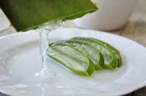 aloe-4529704-300x199.jpg