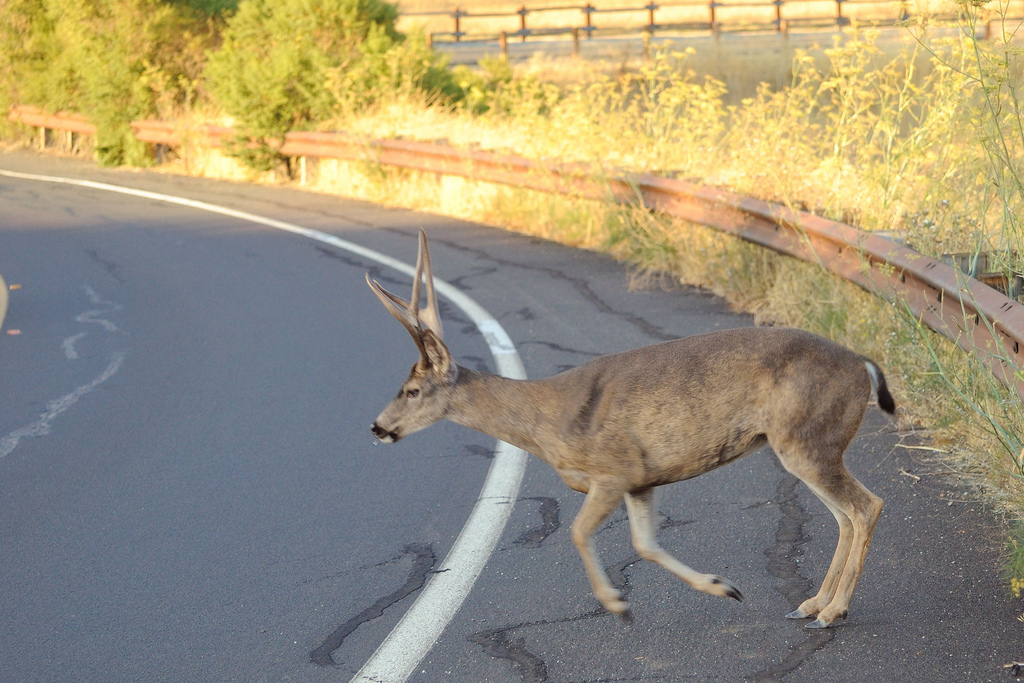On The Road At Night Facts