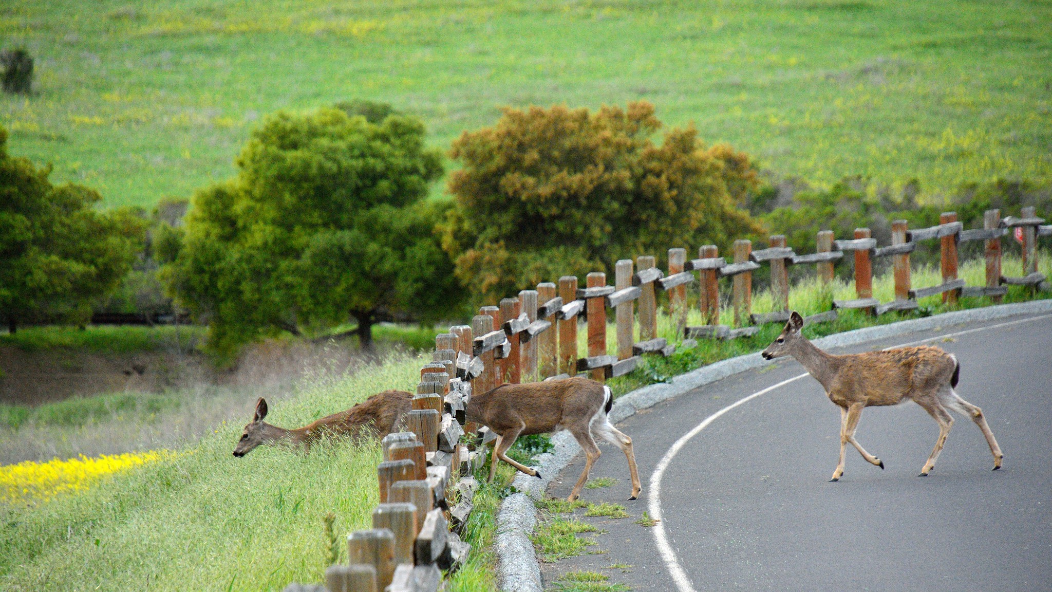 I’m In Big Trouble Facts