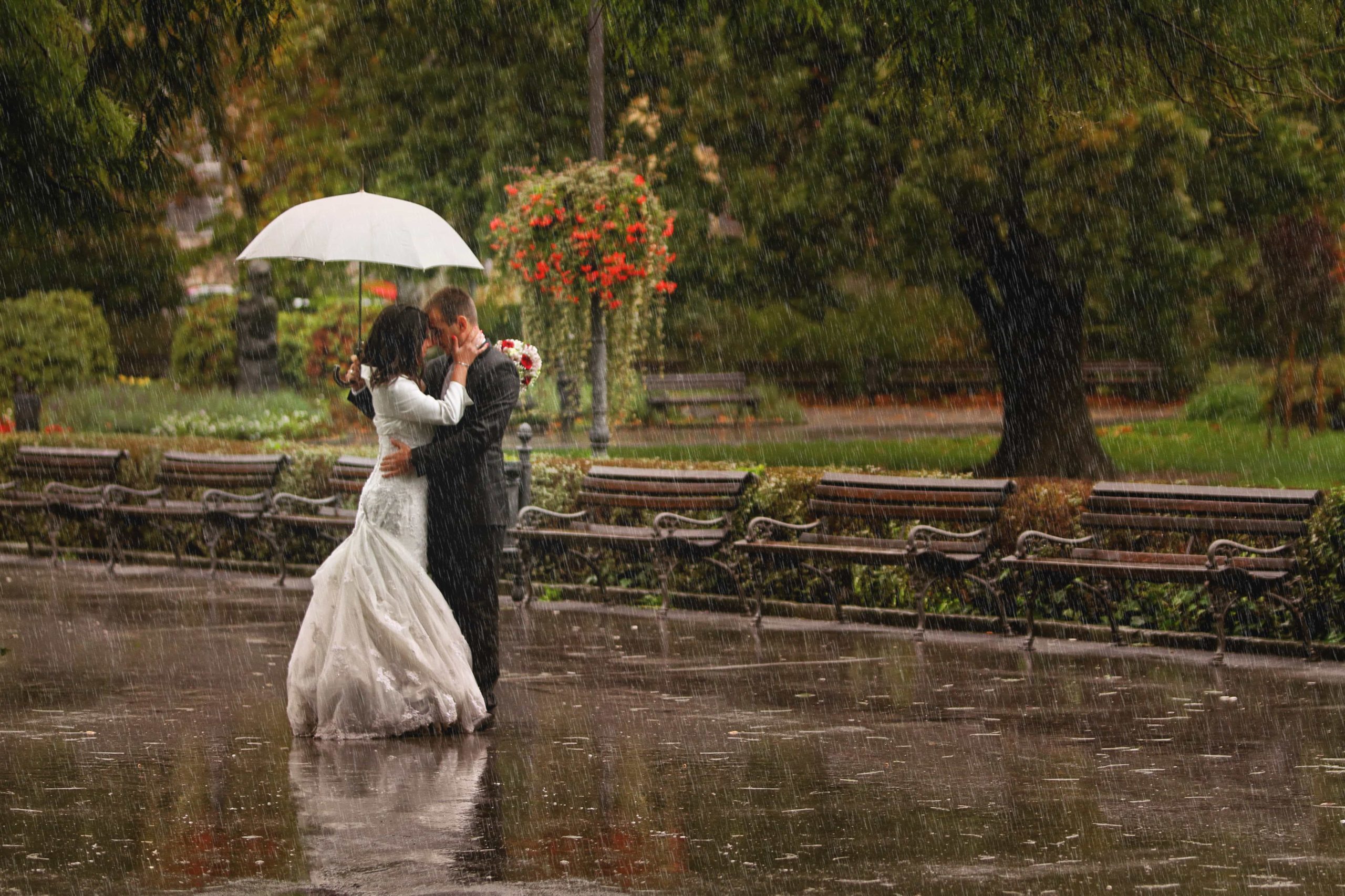 Bridezillas facts