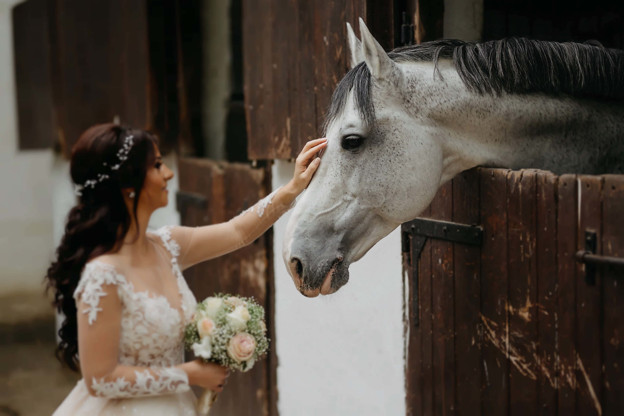 Bridezillas facts