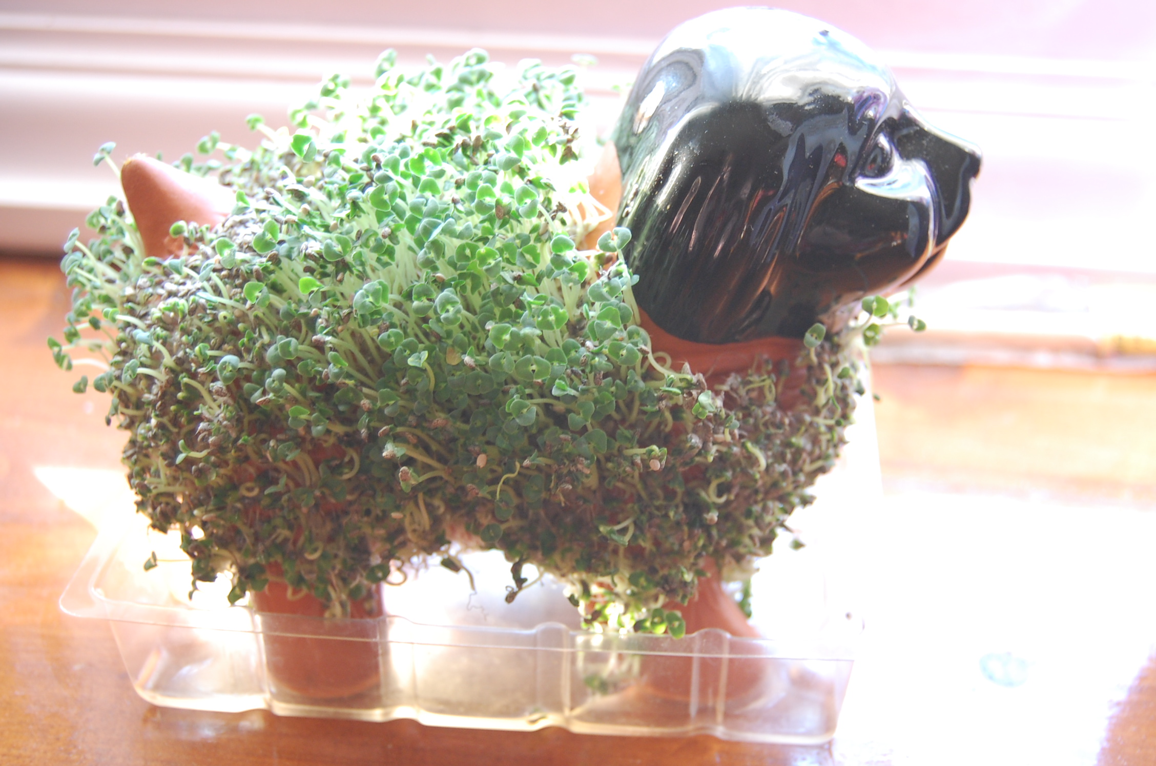 Epic Comeuppance Happen To A Spoiled Kid facts