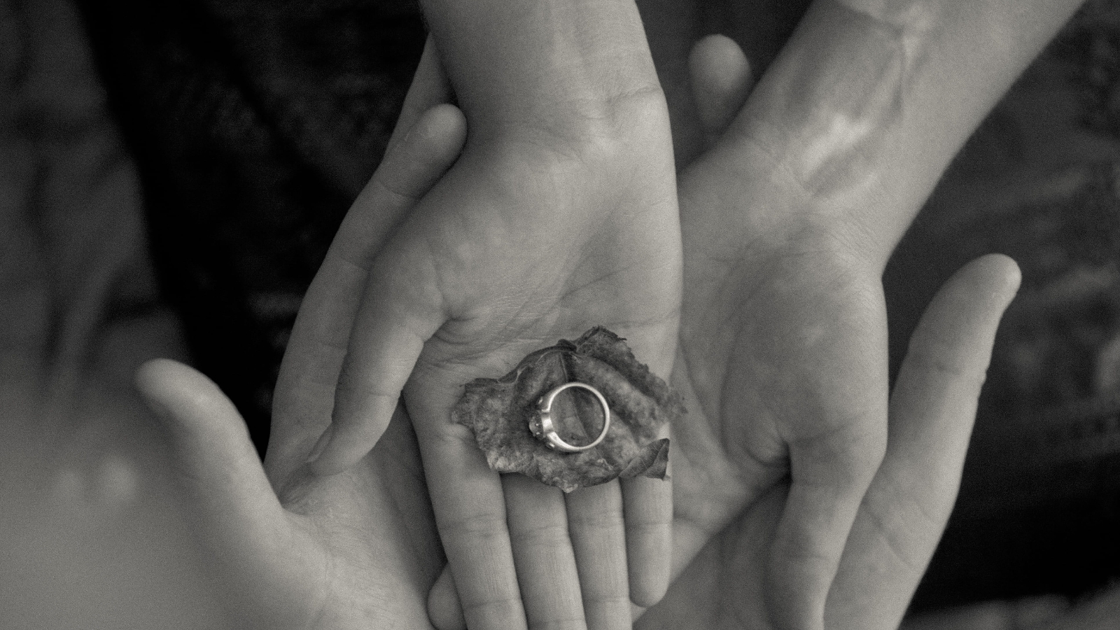 Rejected Proposals facts