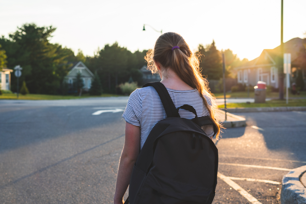 Hurtful Comments facts