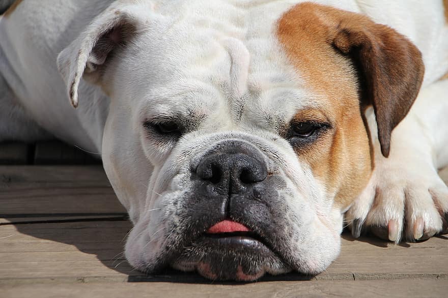 Wild reasons for divorce