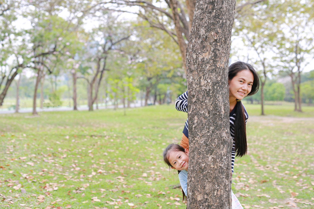 The Weirdest Wills Facts