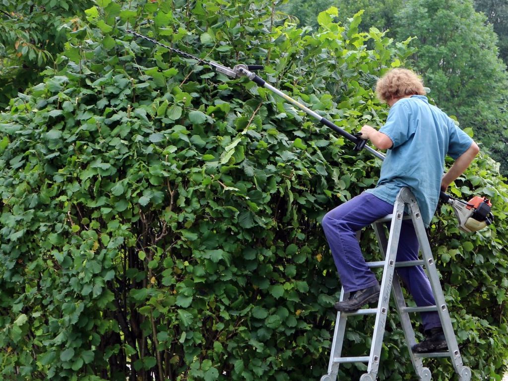 Times-Homeowners-Association-Ruined-Everything-11.jpg.optimal.jpg