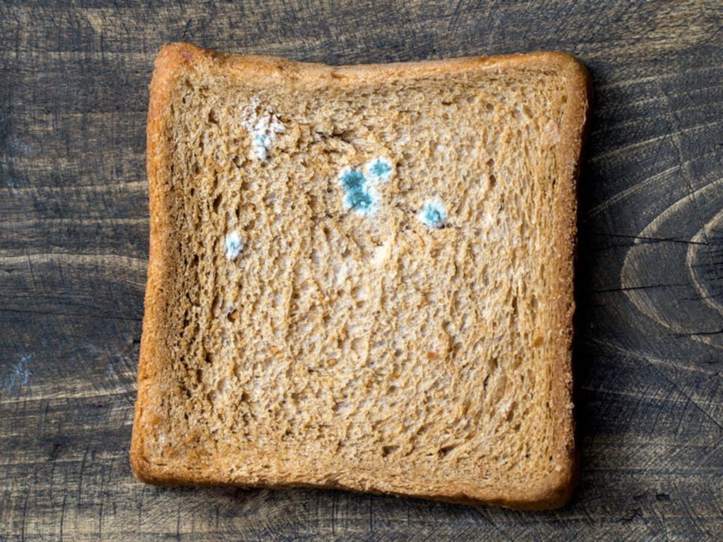can-you-eat-moldy-bread-resize.jpg.optimal.jpg