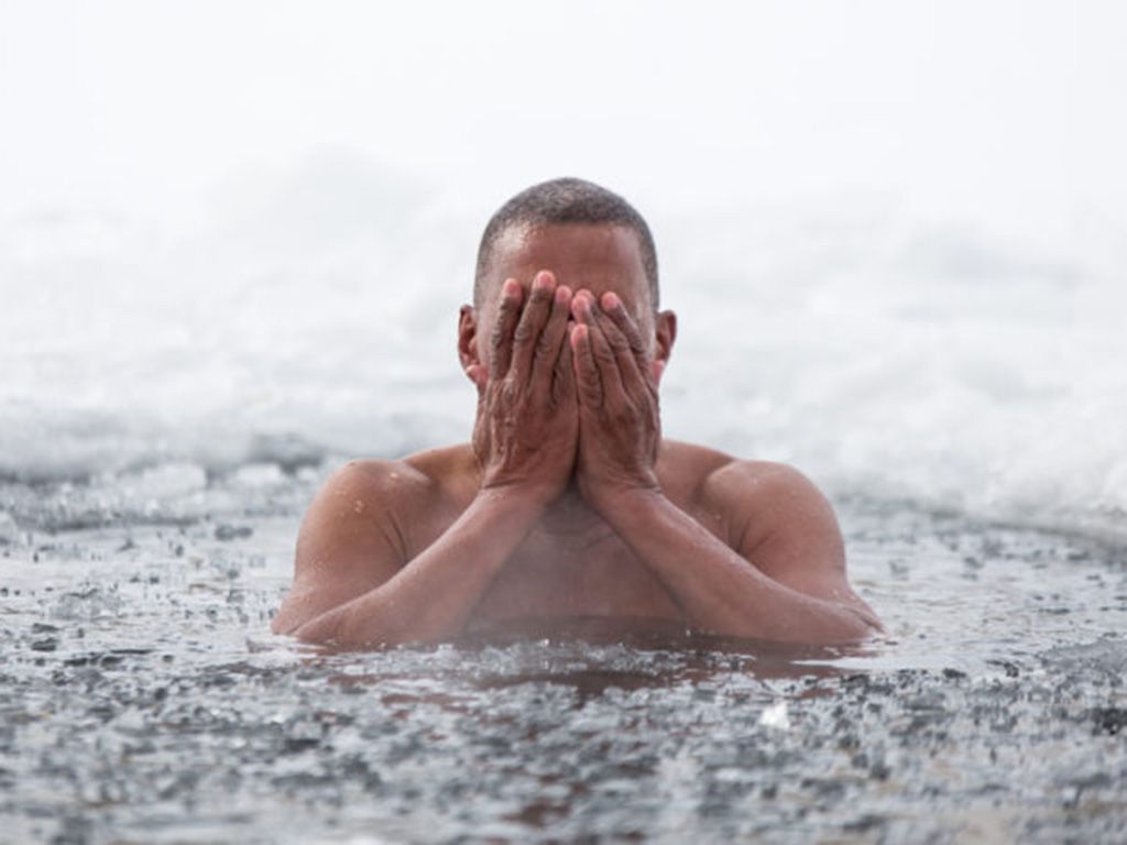 resizeshutterstock_575531740-768x461-1.jpg.optimal.jpg