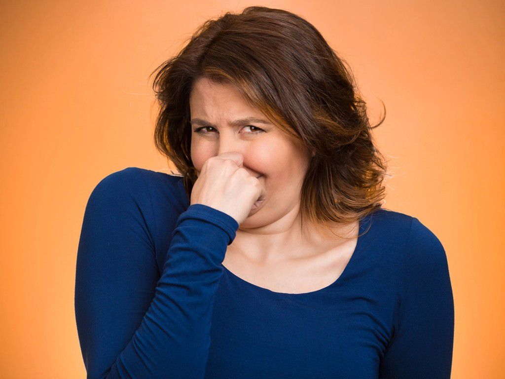 shutterstock_212245906.jpg.optimal.jpg