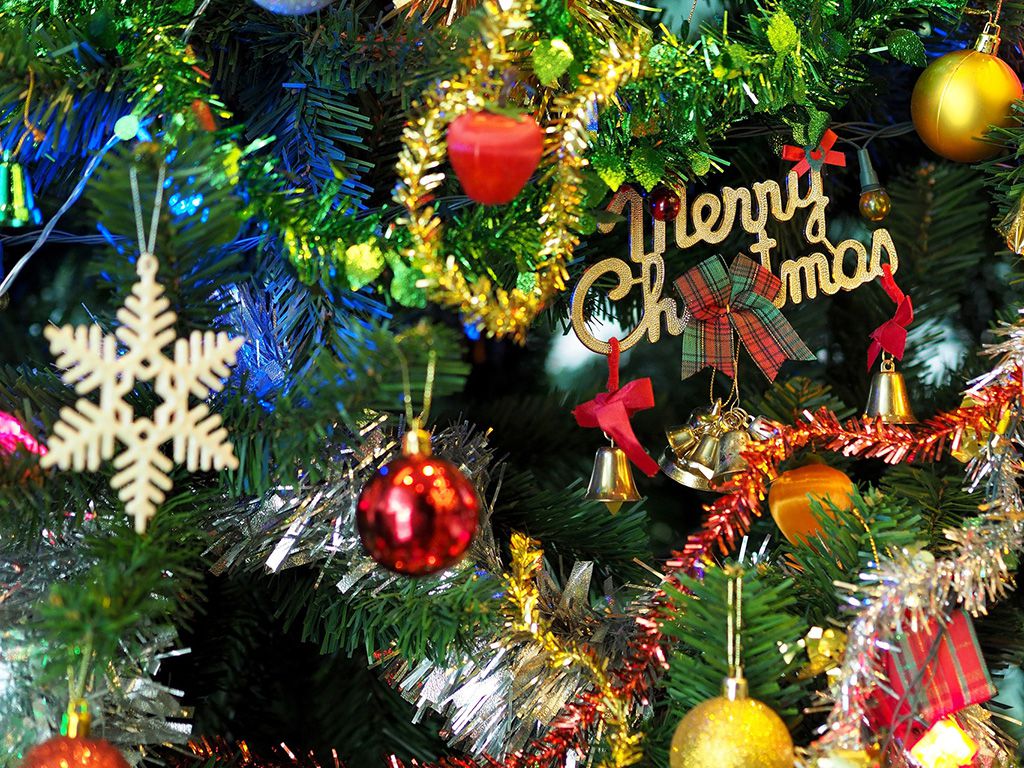resizebranch-celebration-christmas-christmas-balls-264995.jpg.optimal.jpg