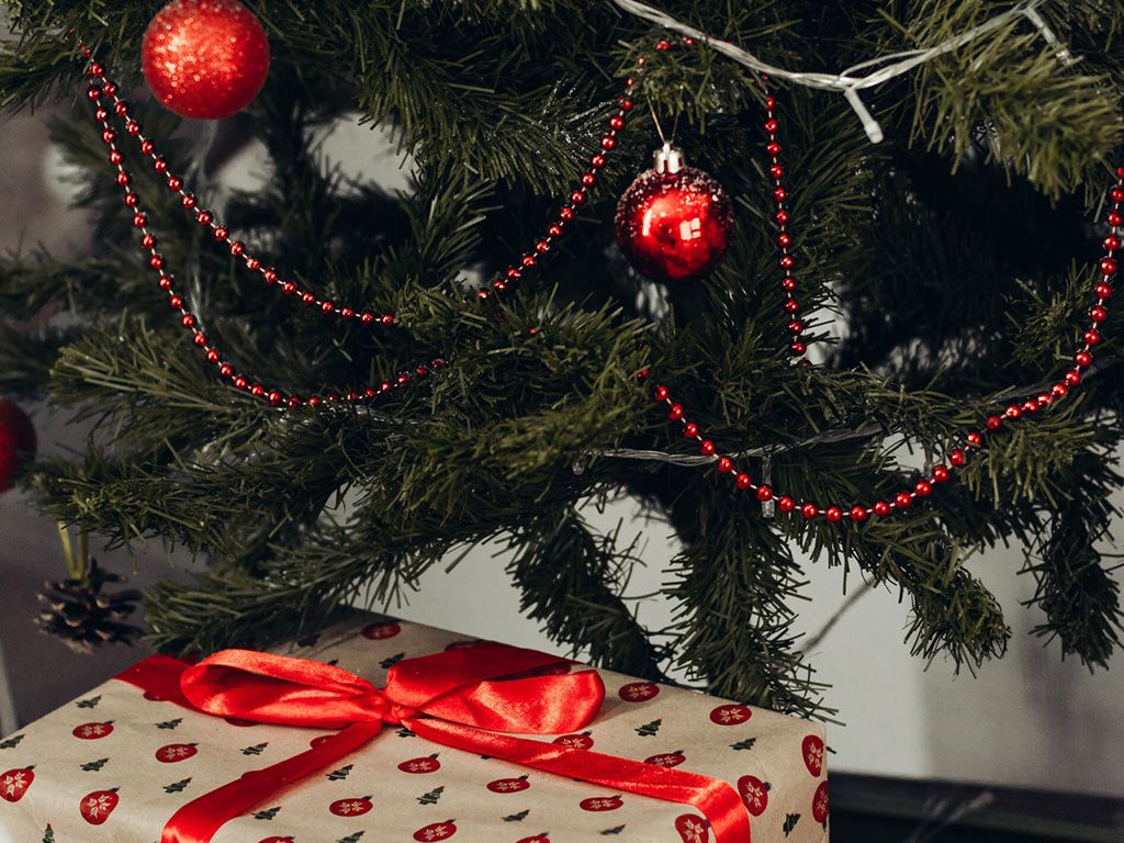resizebrown-gift-box-under-green-christmas-tree-1734427.jpg.optimal.jpg